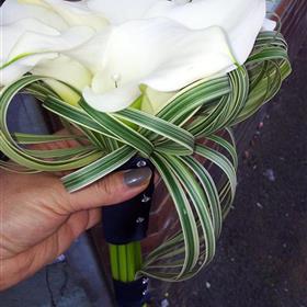 fwthumbWedding 12.jpg